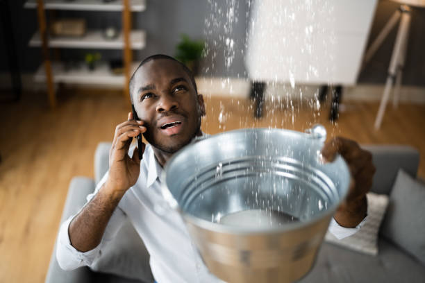 Bladenboro, NC Water damage restoration Pros