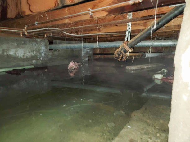 Best Ceiling water damage repair  in Bladenboro, NC