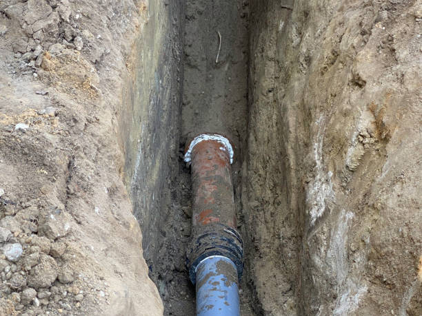 Best Flood damage cleanup  in Bladenboro, NC