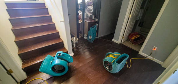  Bladenboro, NC Water damage restoration Pros