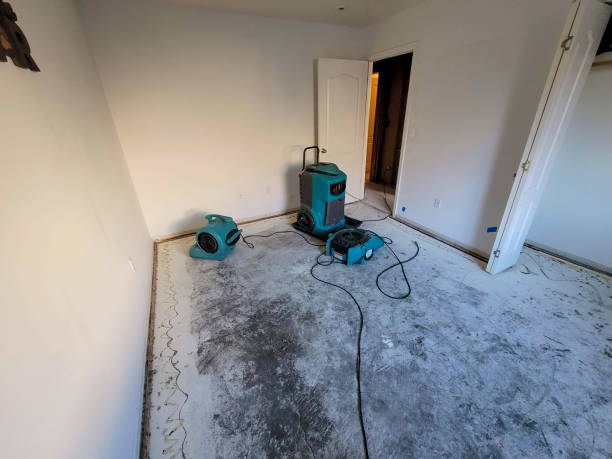 Best 24/7 water damage repair  in Bladenboro, NC
