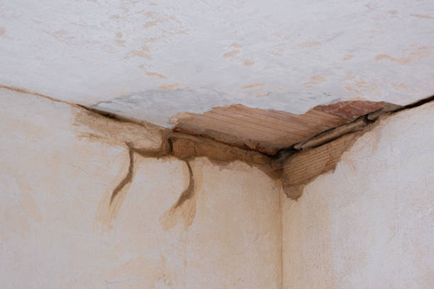 Best Emergency water damage restoration  in Bladenboro, NC