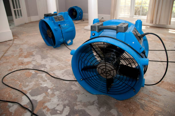 Professional Water damage restoration in Bladenboro, NC