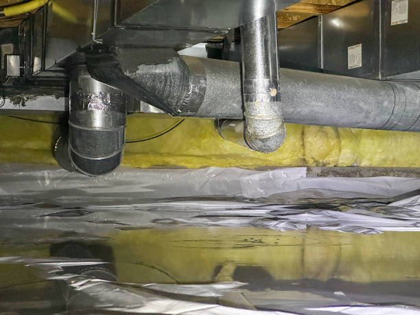 Best Flooded house restoration  in Bladenboro, NC