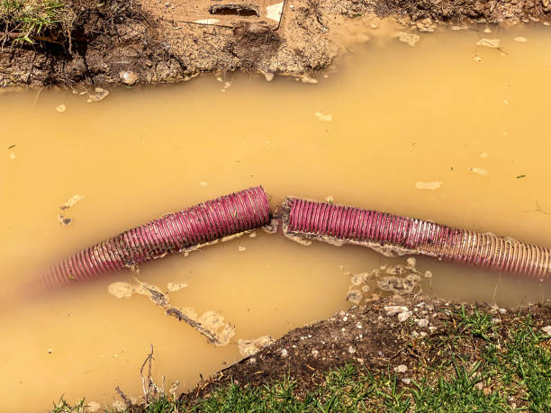 Reliable Bladenboro, NC Water damage restoration Solutions