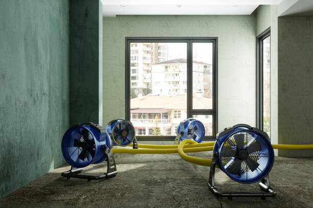 Best Fire Damage Restoration  in Bladenboro, NC